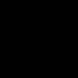 Meet your Posher, Jack